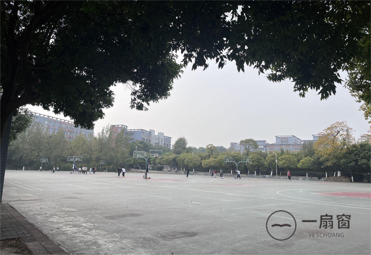 微信图片_20231207145257