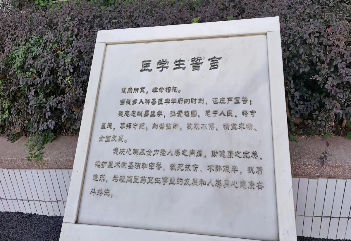 微信图片_20231222105507