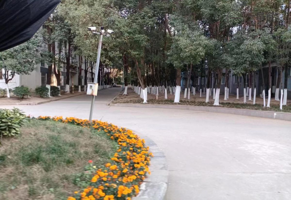 四川省广元市职业高级中学校 (8)