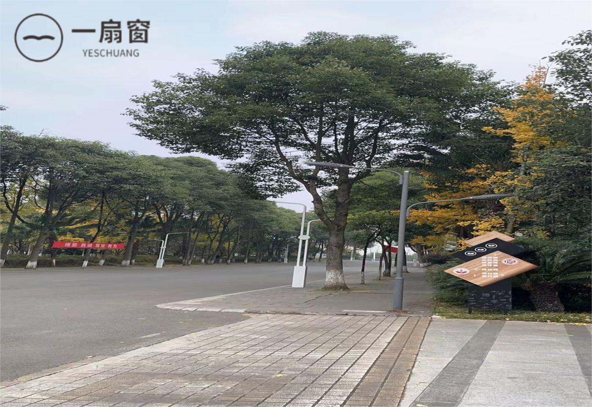 微信图片_20231207163617