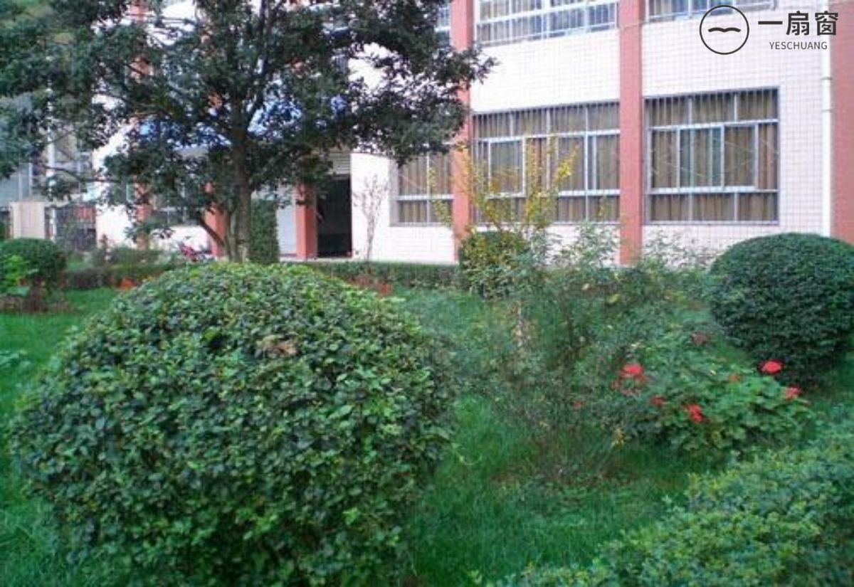 微信图片_20231222090404