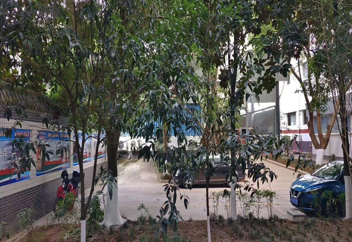 遂宁应用高级技工学校 (8)