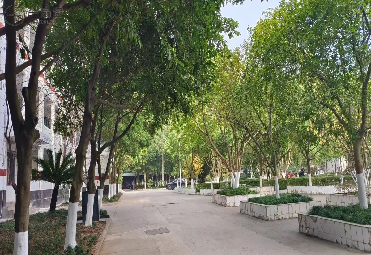 遂宁应用高级技工学校 (4)