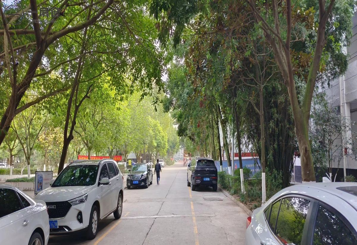 遂宁应用高级技工学校 (6)