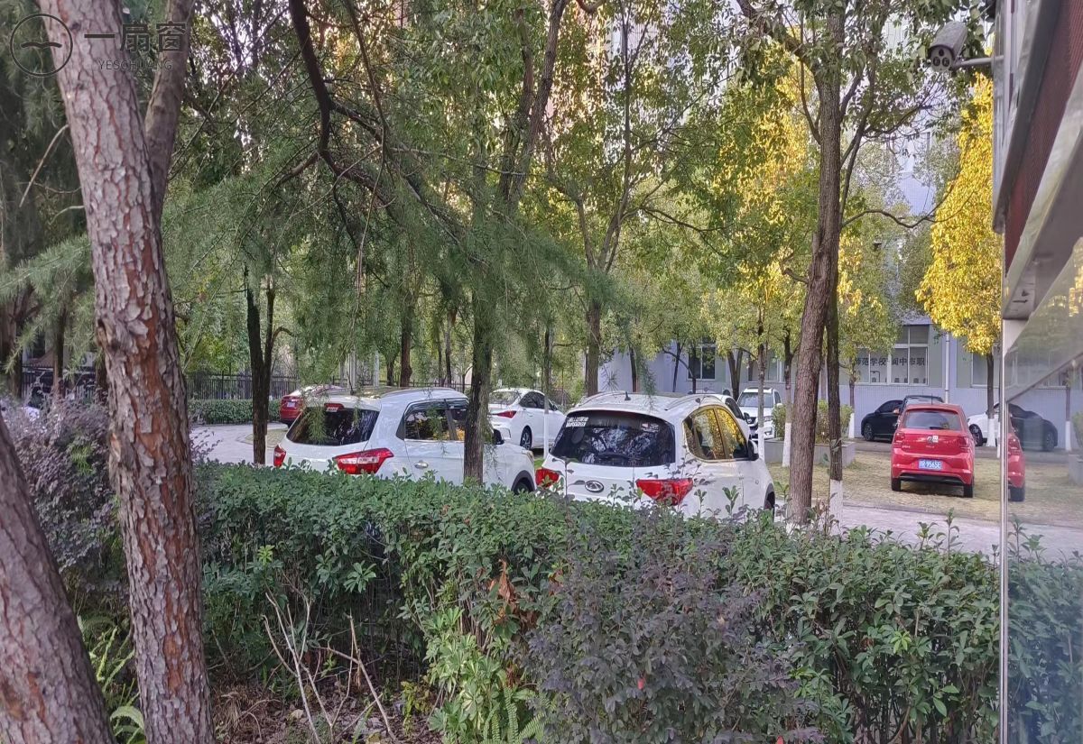 阆中高级技工学校 (4)